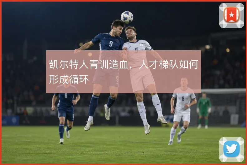 凯尔特人青训造血，人才梯队如何形成循环