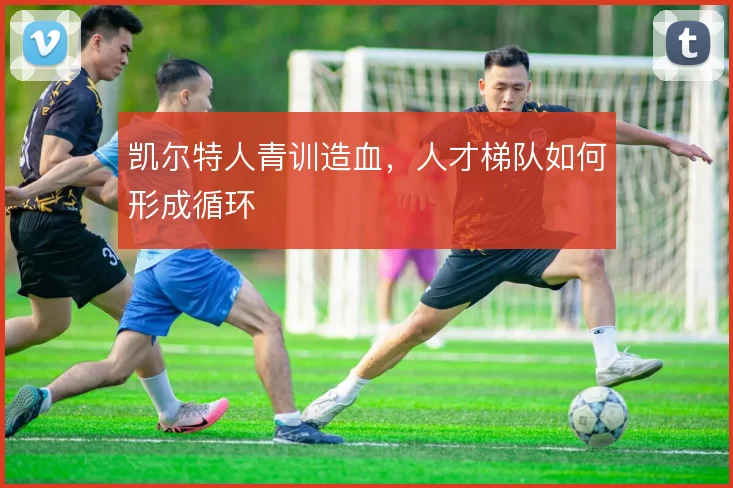 凯尔特人青训造血，人才梯队如何形成循环